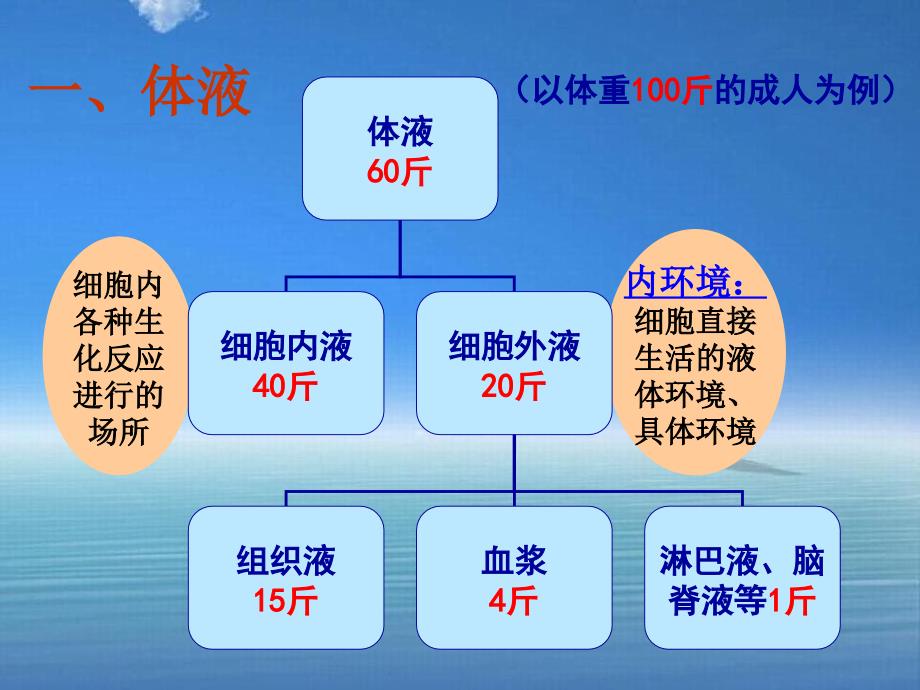 血液生理及常见疾病_第3页