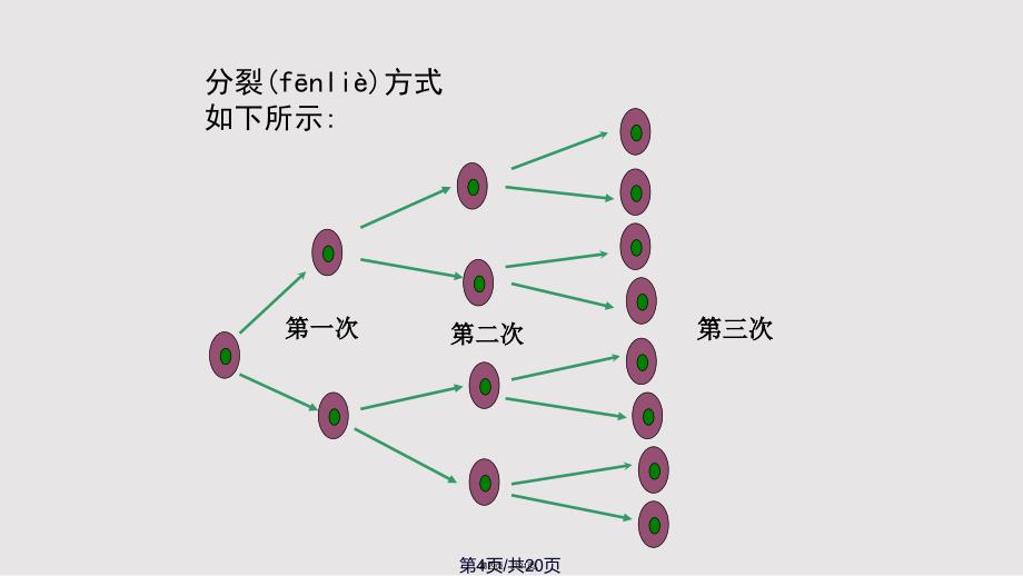 乘方实用教案_第4页