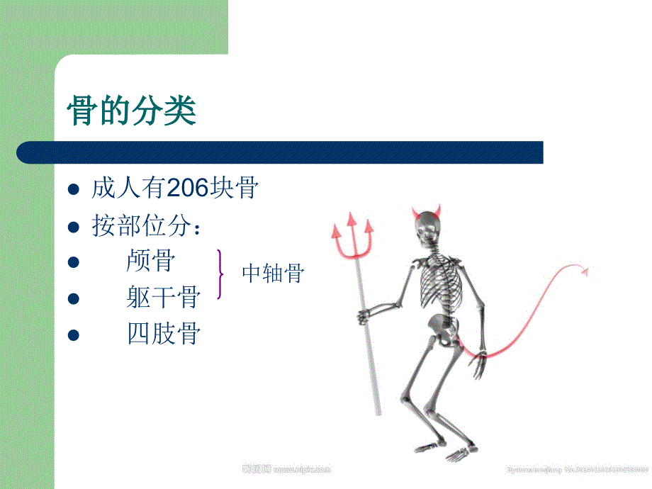 骨骼的力学特性_第3页