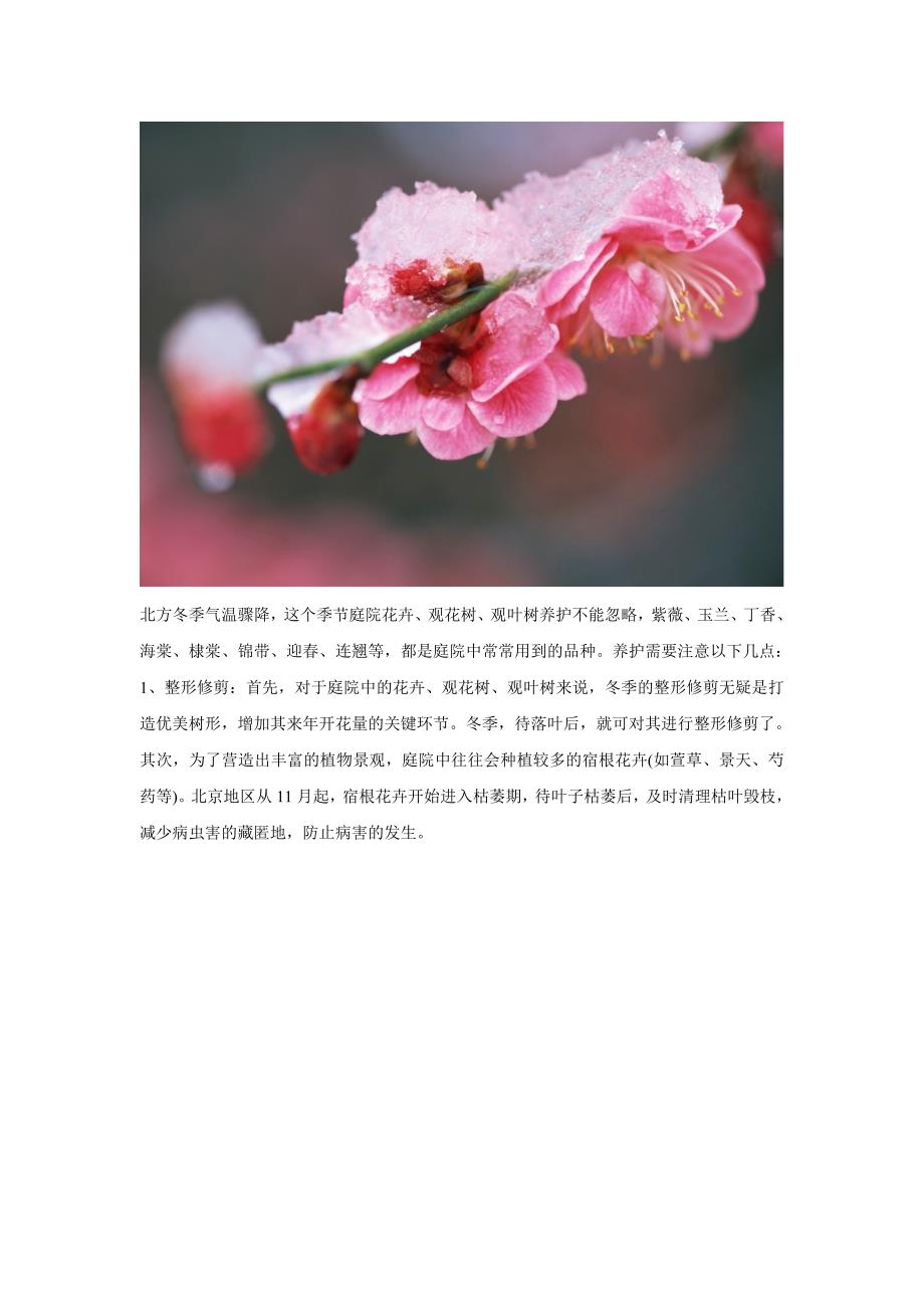 别墅庭院花园乔灌木花卉草坪养护(精品)_第1页