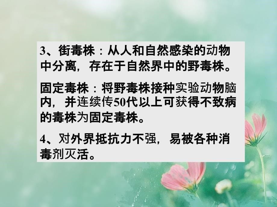 狂犬病毒Lyssavirus课件_第5页