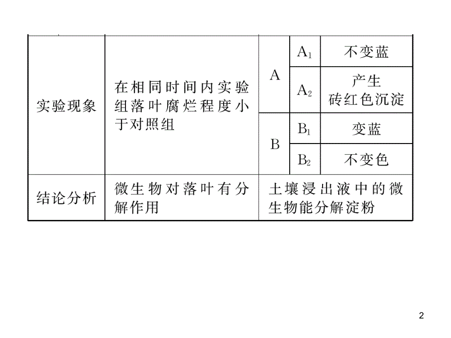 生态系统物质循环补充_第2页