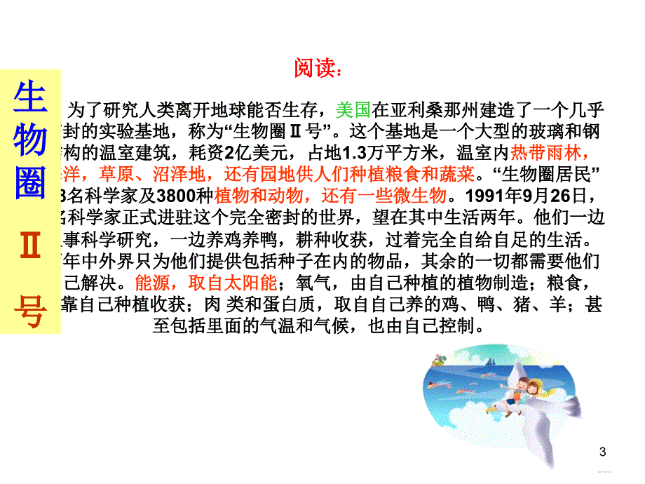 生态系统物质循环补充_第3页