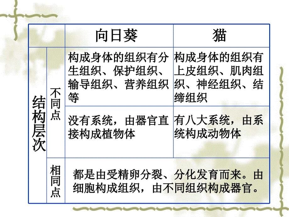 人教版七上使用第二单元第二章第三节植物体的结构层次共13张PPT_第5页