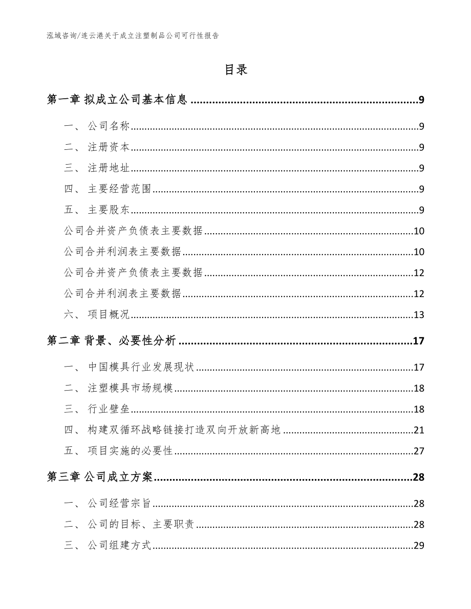 连云港关于成立注塑制品公司可行性报告_参考范文_第2页