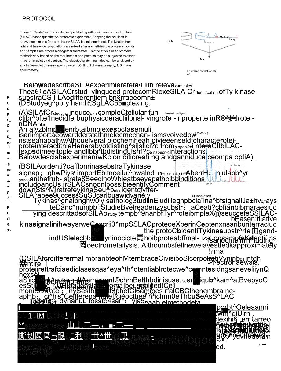 SILAC代谢标记定量实验步骤_第2页