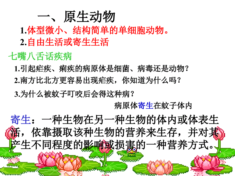 常见的无脊椎动物类群_第4页