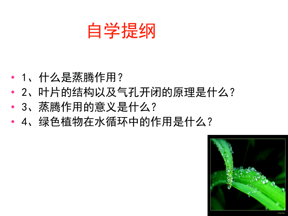 鲁科版生物六年级下册3.3.2绿色植物参与生物圈的水循环课件3_第4页