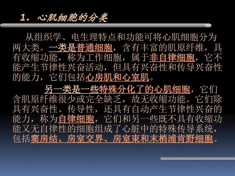 抗心律失常药修改版_第5页