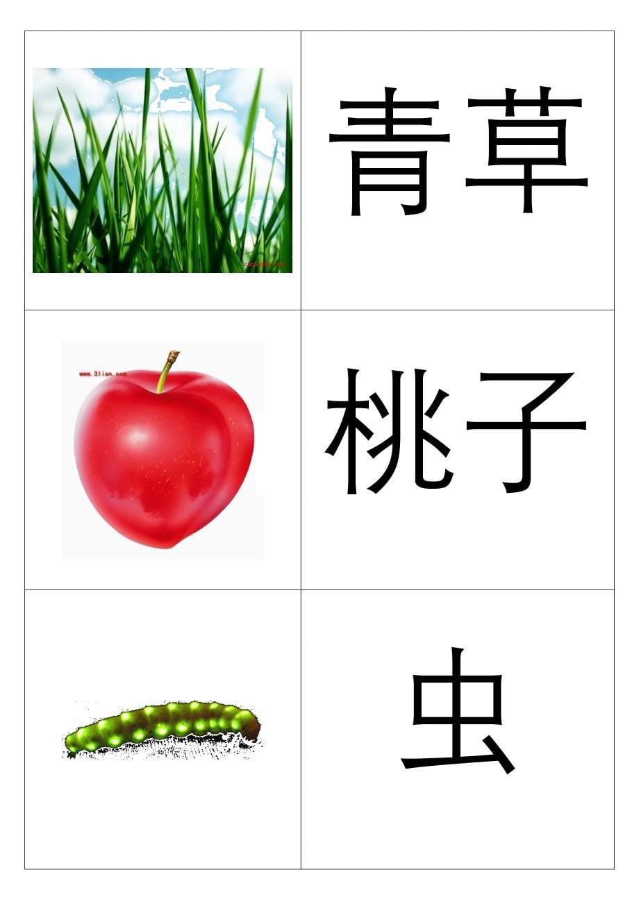 幼儿识字卡片配图_第5页