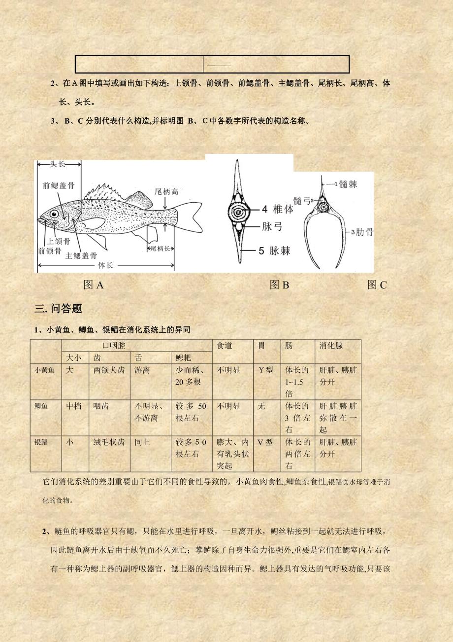 01生物科学鱼类学期终考试卷(277)_第5页