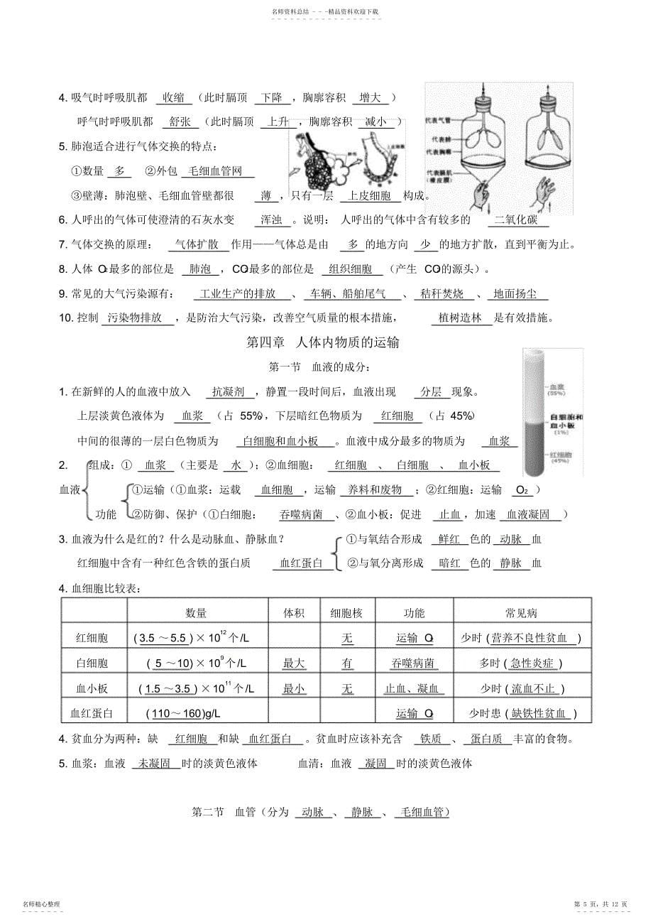 2022年新人教版七年级下册生物复习资料_第5页