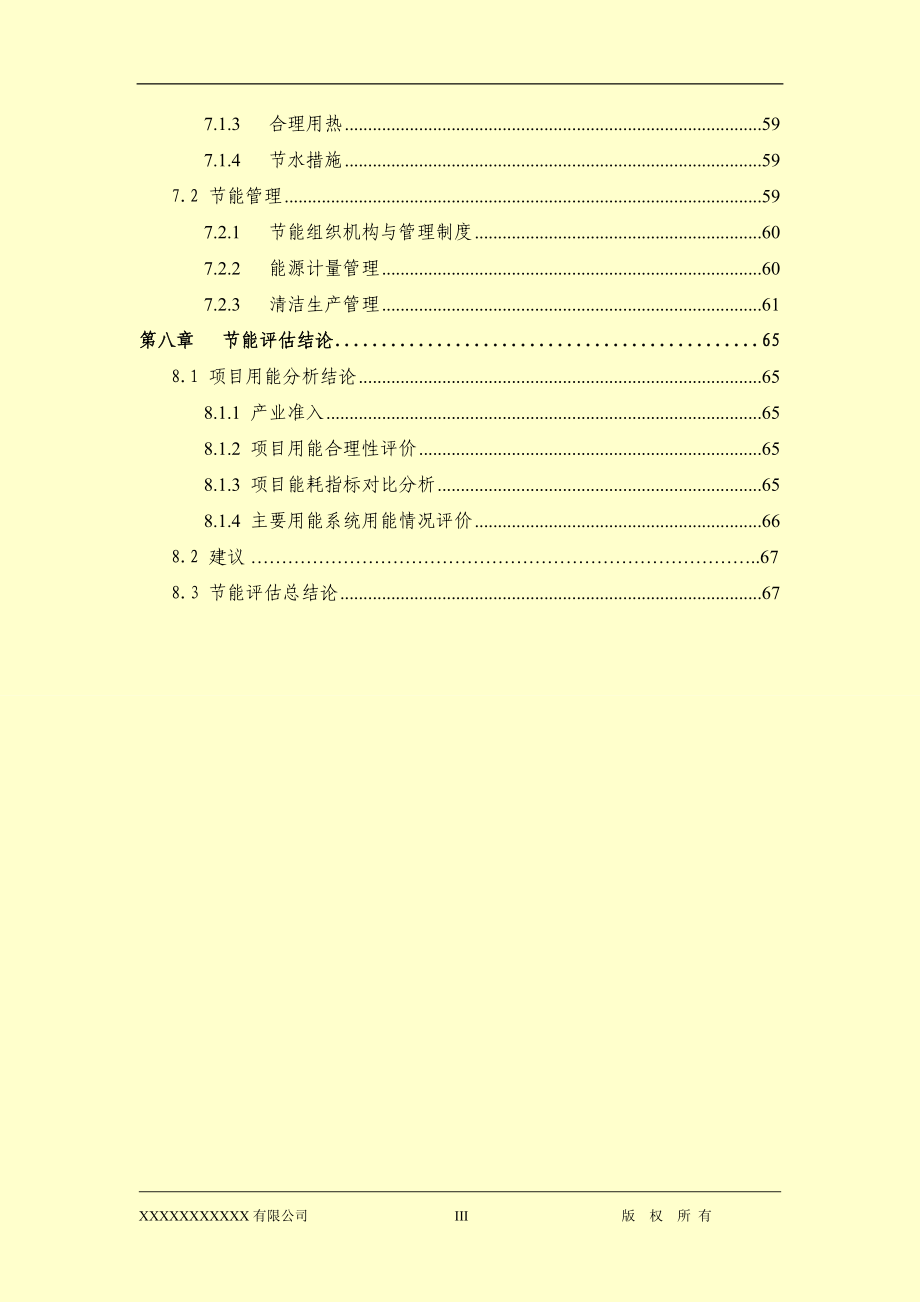 XX袜业能评报告_第4页