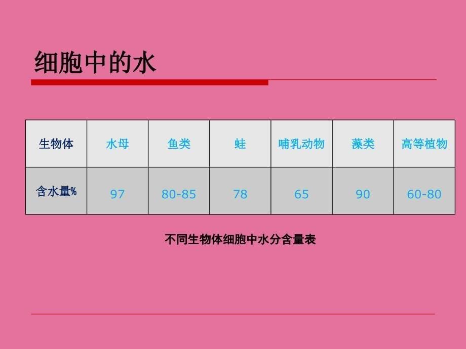 生物必修一第二章第5节ppt课件_第5页