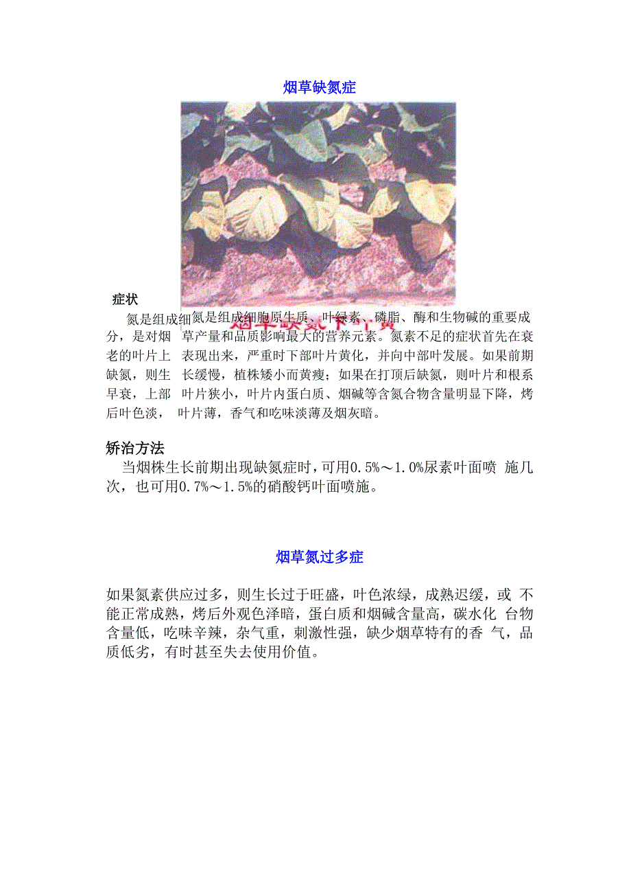 烟草缺氮症_第1页