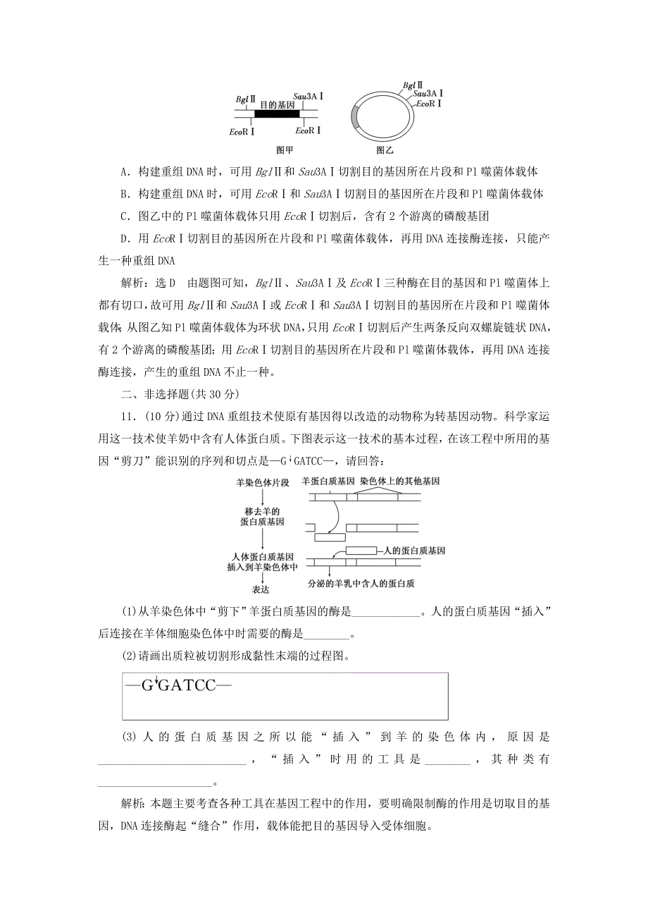 2022年高中生物课时跟踪检测一DNA重组技术的基本工具新人教版_第4页