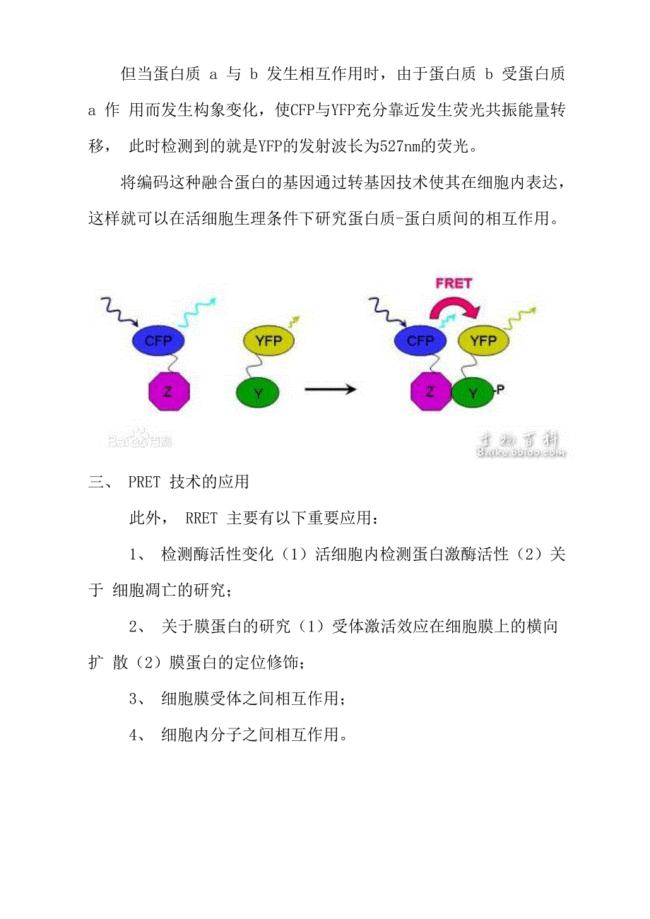 萤光共振能量转移_第2页