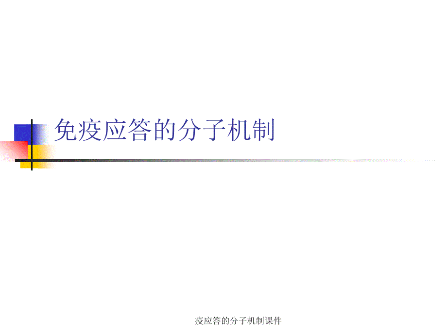 疫应答的分子机制课件_第1页