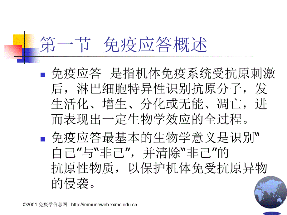 疫应答的分子机制课件_第2页