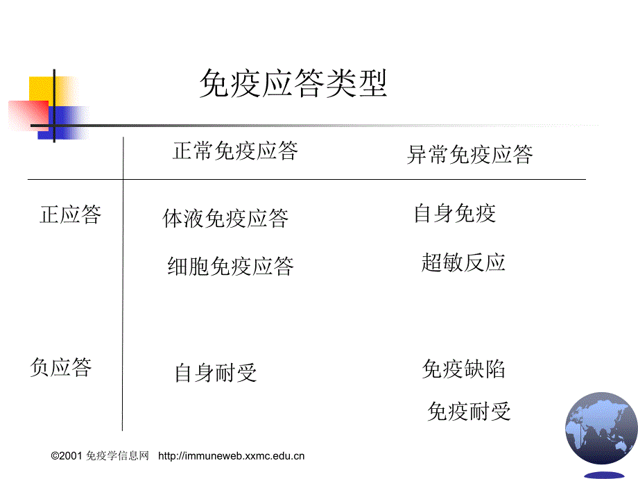 疫应答的分子机制课件_第3页