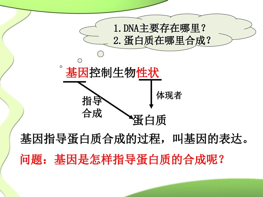 高一生物必修二优质课件基因指导蛋白质的合成_第4页