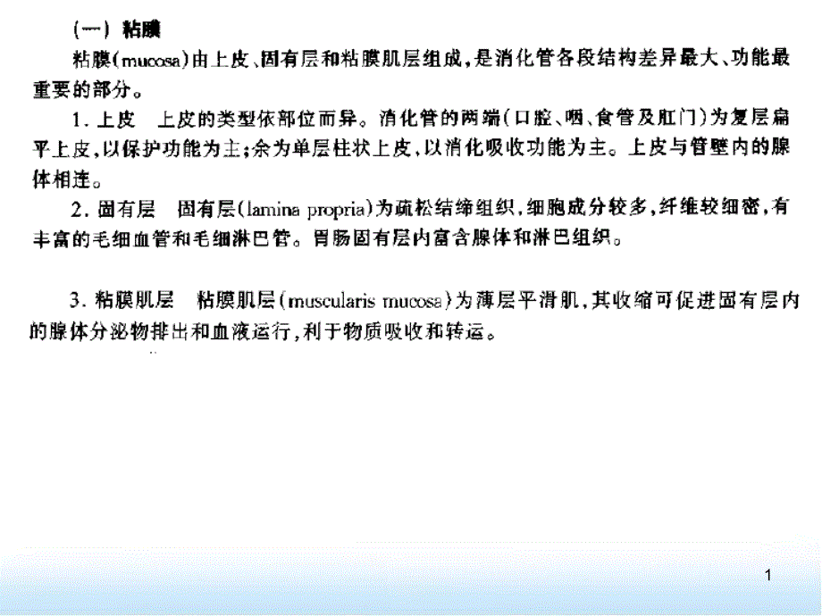 粘膜分层以及关于早癌的几个概念ppt参考课件_第1页