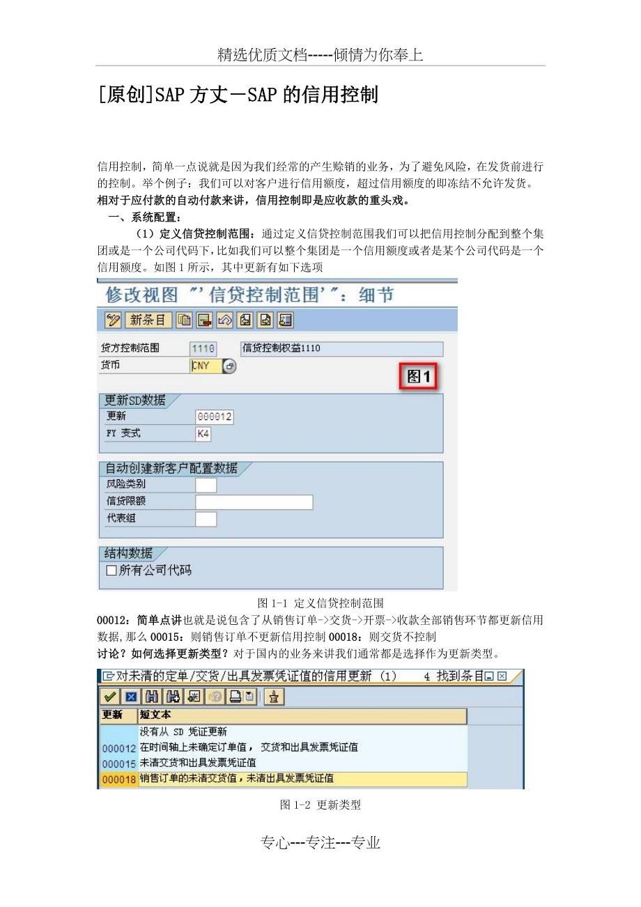 SAP的信用控制_第1页