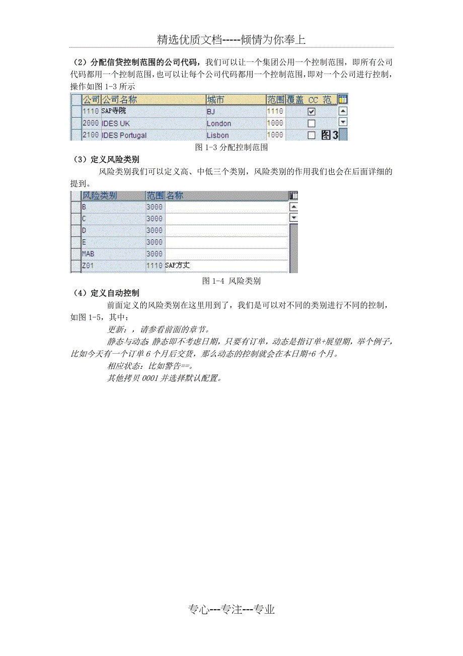 SAP的信用控制_第2页