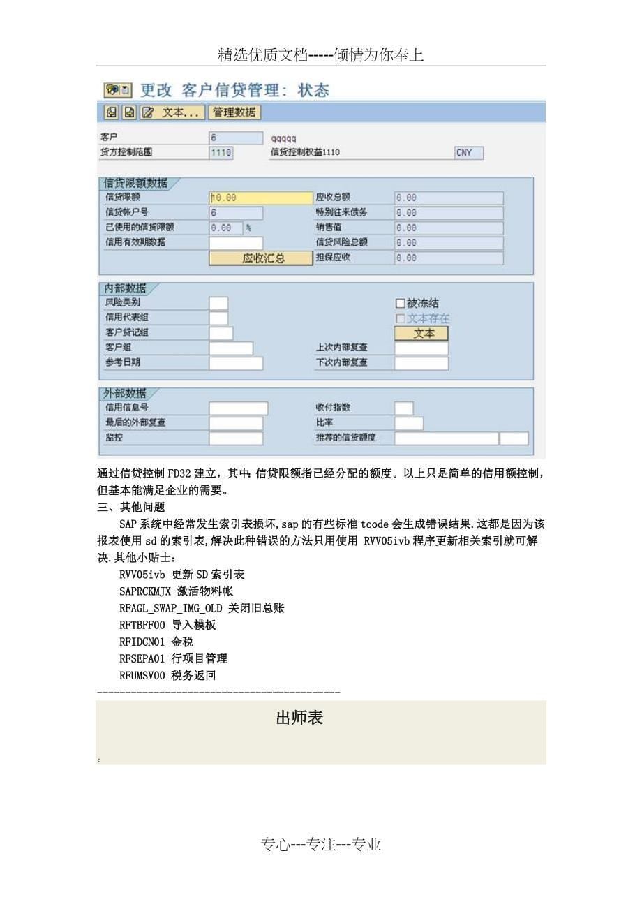 SAP的信用控制_第5页