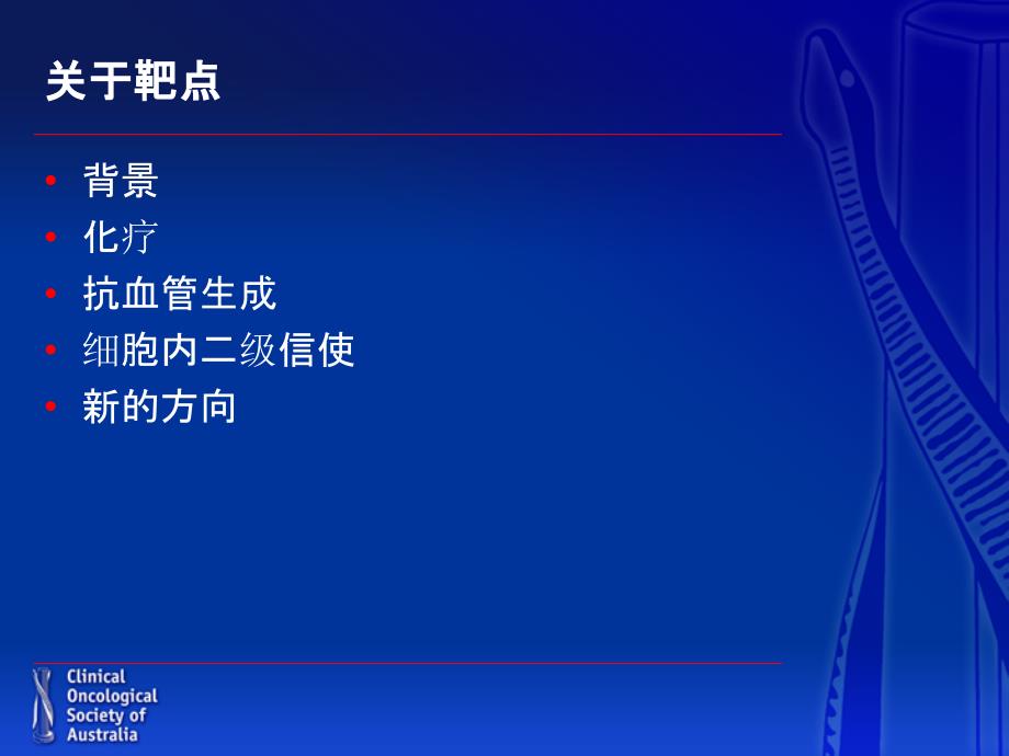 结肠癌的分子靶向治——哪些靶点？_第2页