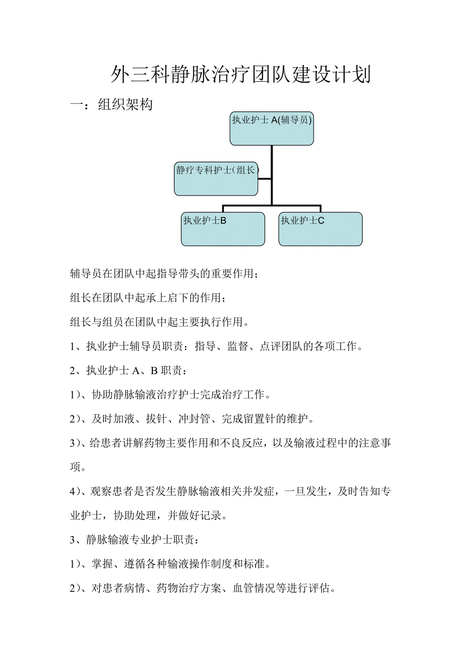 静脉治疗团队建设计划_第1页