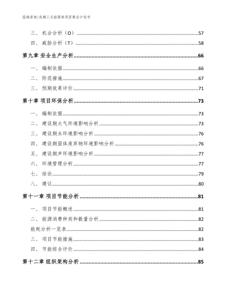 成都三元前驱体项目商业计划书（模板）_第3页