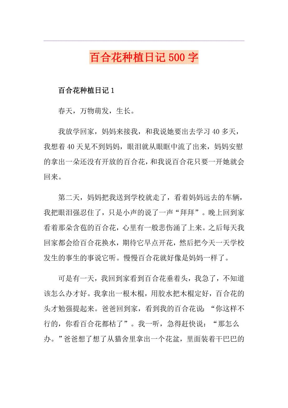 百合花种植日记500字_第1页