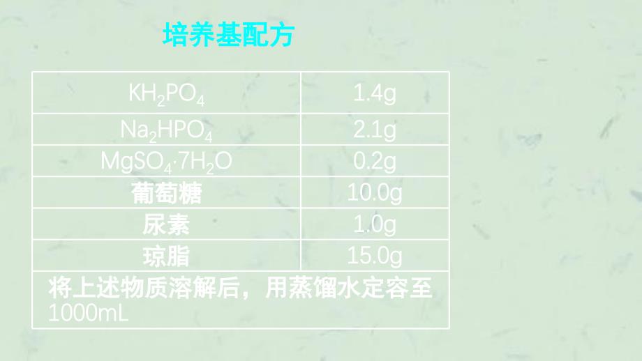 土壤中分解尿素的细菌的分离与记数2(课件_第1页