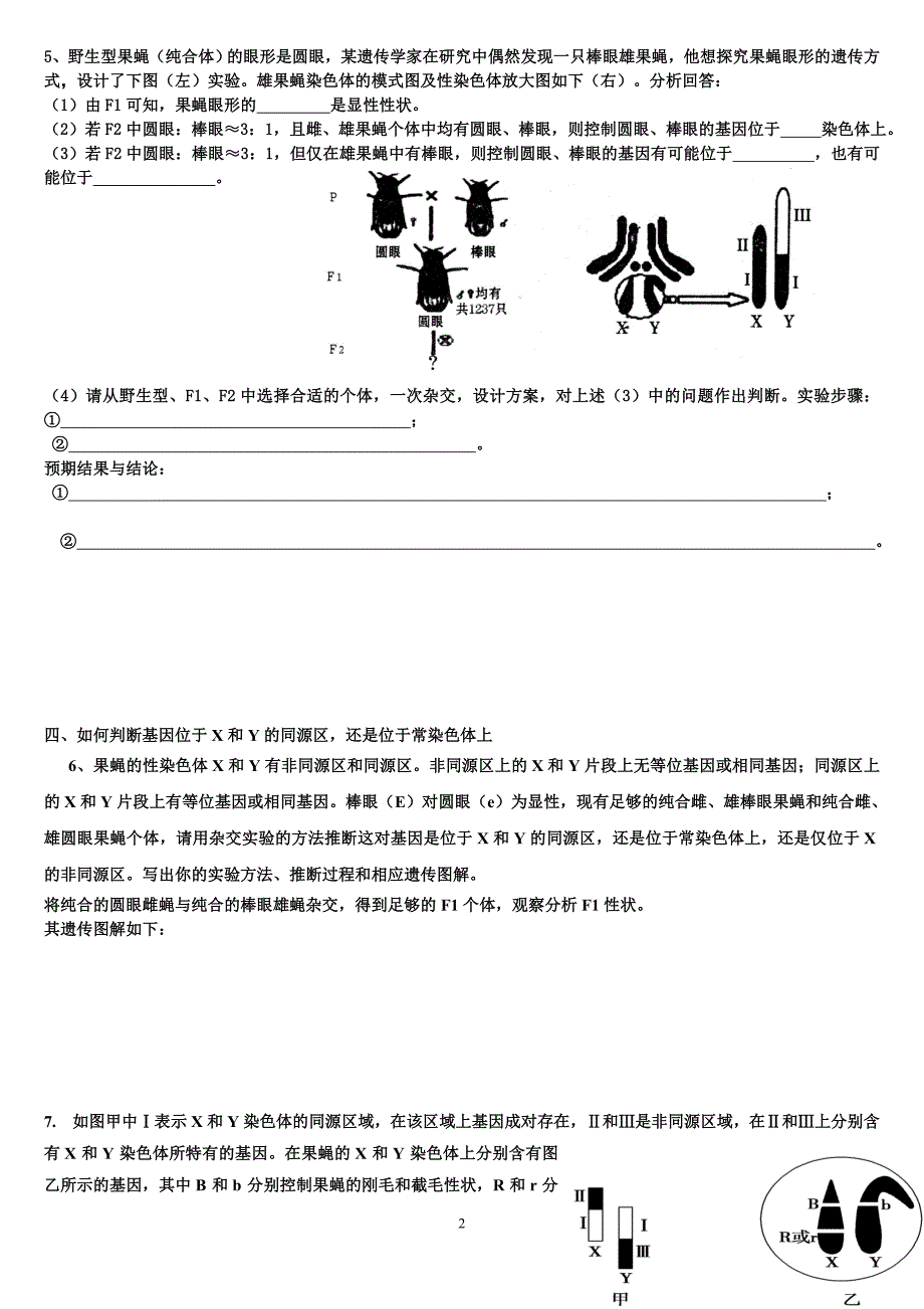 探究基因位置的常见题型练习_第2页