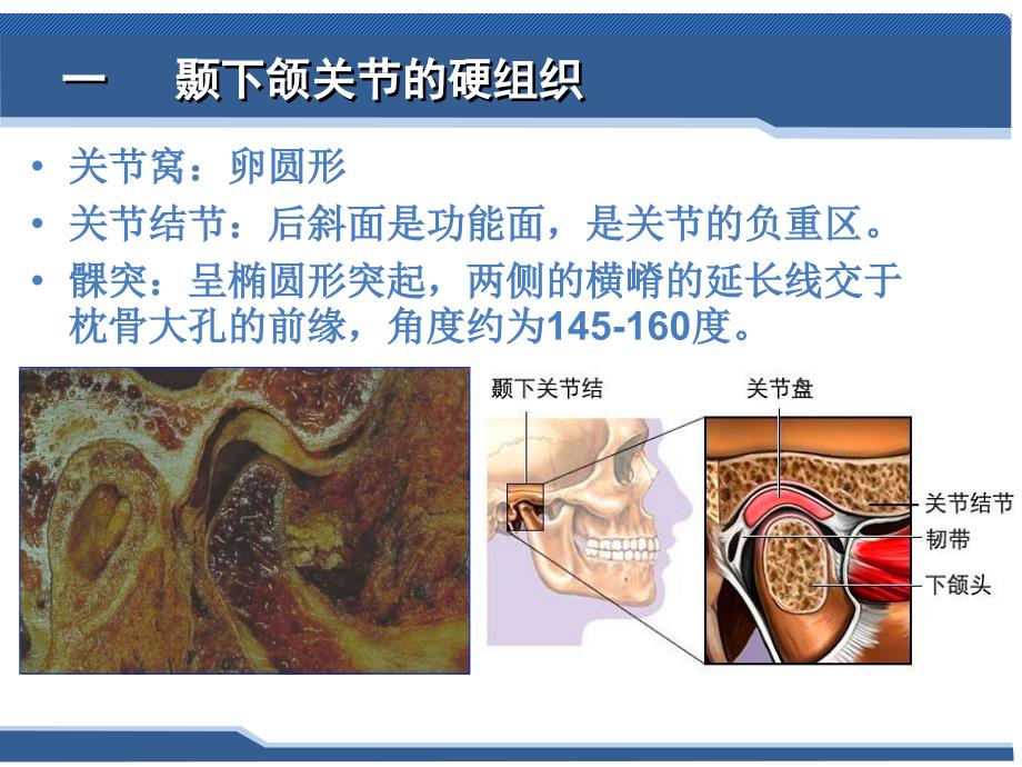 口腔科学第一章颞下颌关节常见病_第3页