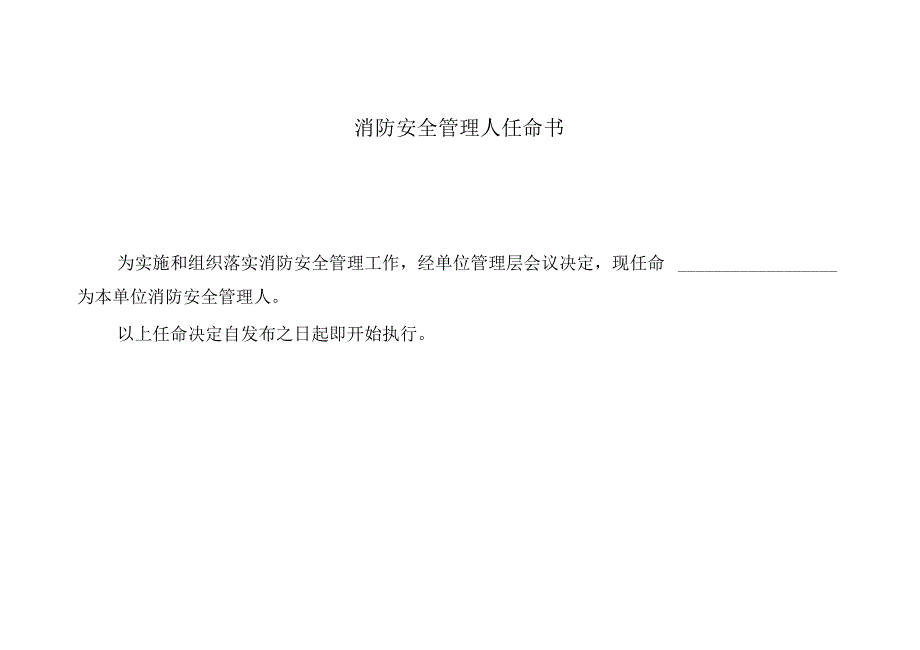 消防安全责任人任命书样式_第3页