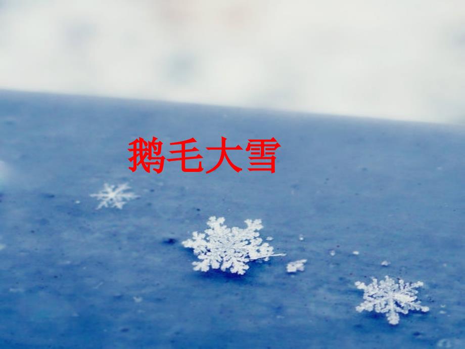 12、《看雪》PPT_第2页