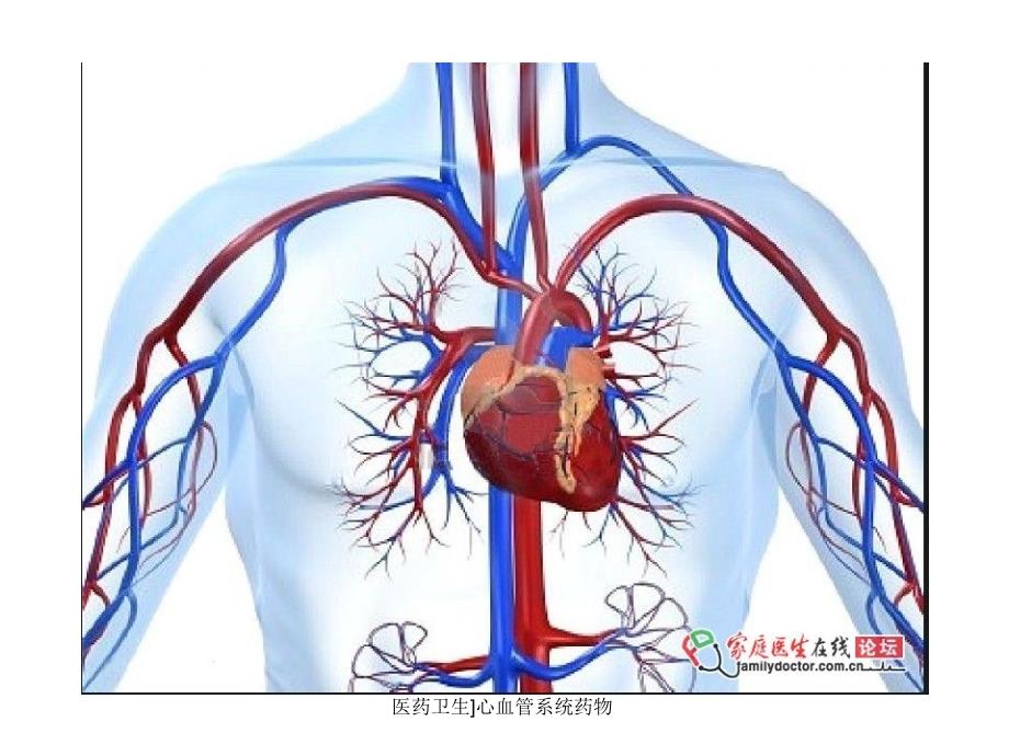 医药卫生心血管系统药物课件_第2页