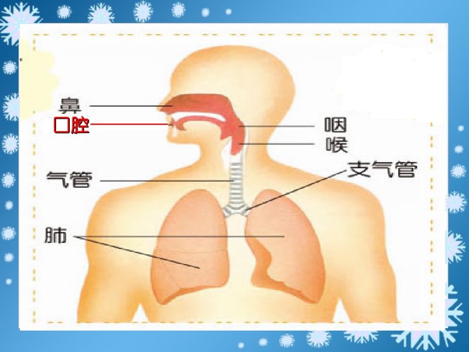 小学科学我们的呼吸_第4页