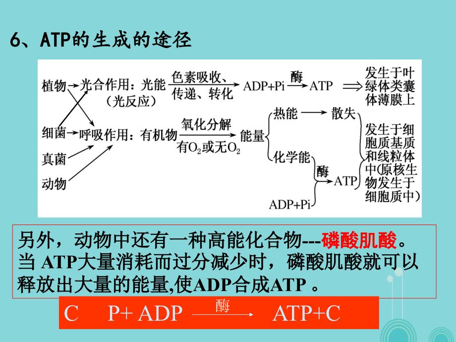 湖南省衡阳县2017届高三生物一轮复习第10讲ATP与细胞呼吸第一课时课件新人教版必修1_第4页