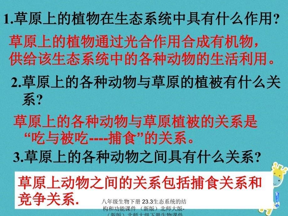 最新八年级生物下册23.3生态系统的结构和功能_第5页