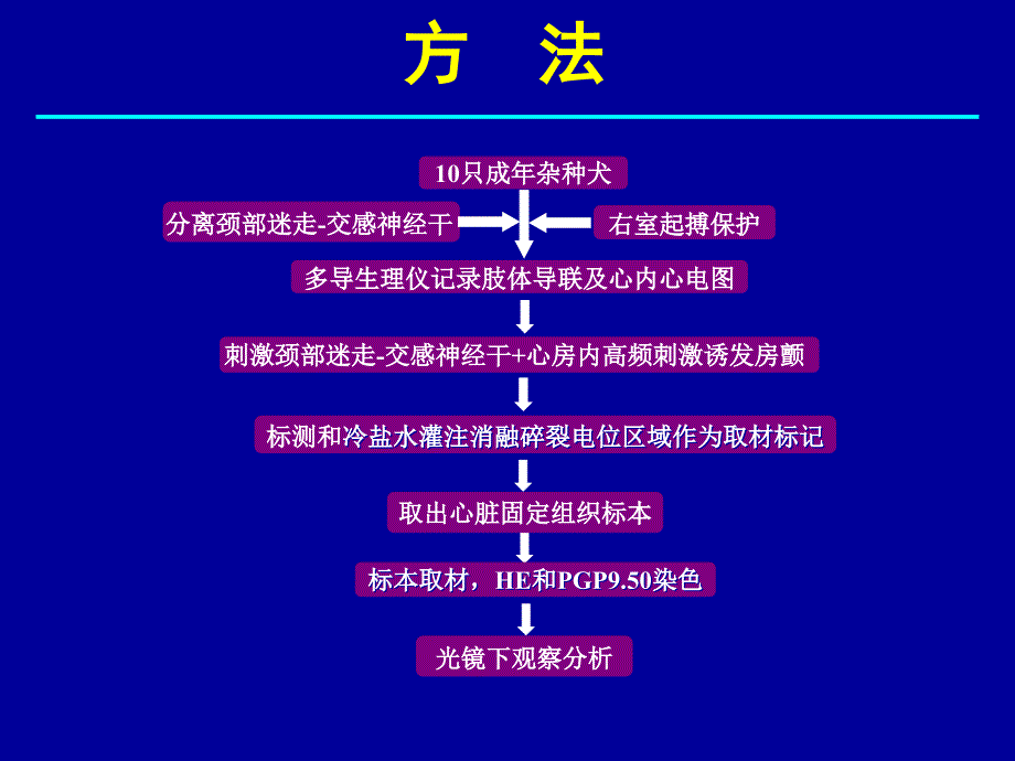 心房碎裂电位区域病理组织学特点_第4页