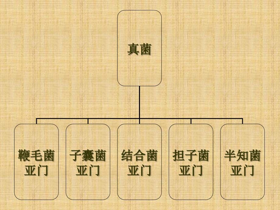 植物病原细菌_第2页