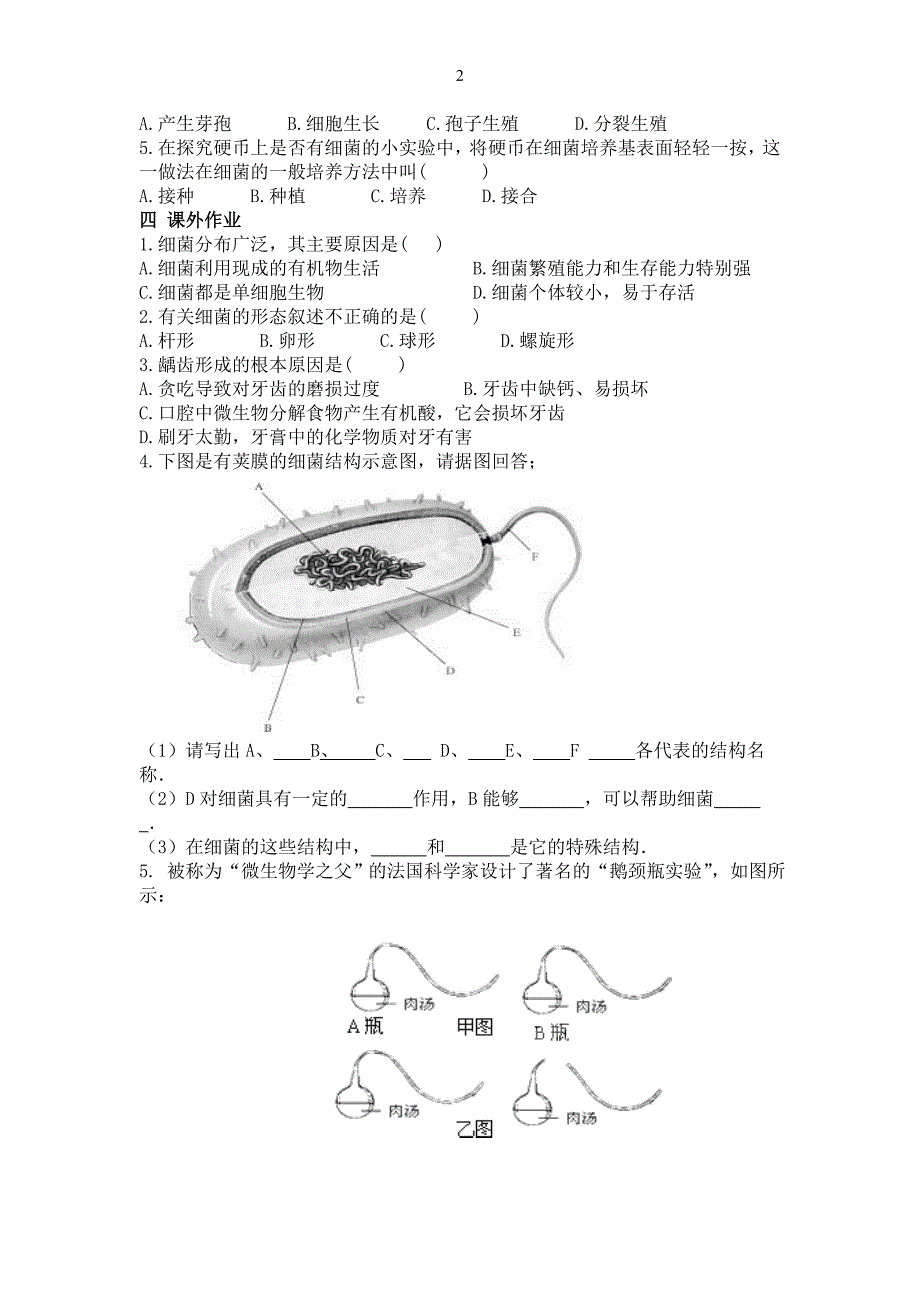 第二节细菌.doc_第2页