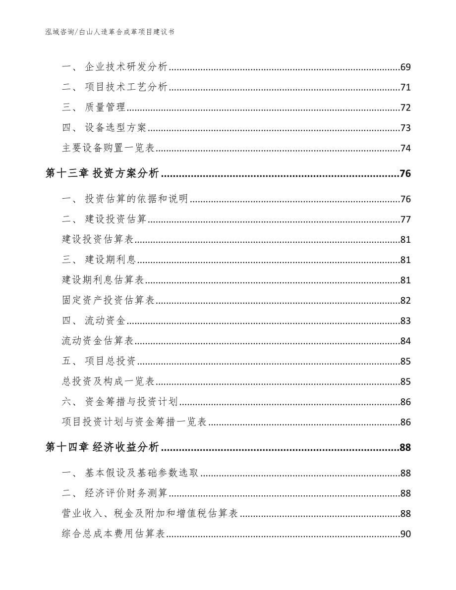 白山人造革合成革项目建议书【模板范本】_第5页