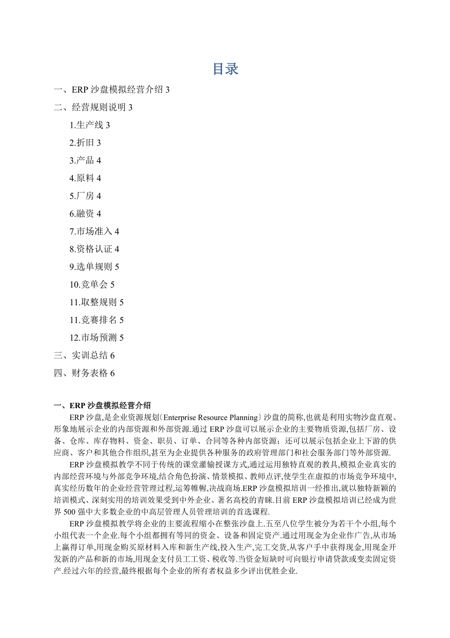 ERP沙盘模拟经营实训手册_第2页