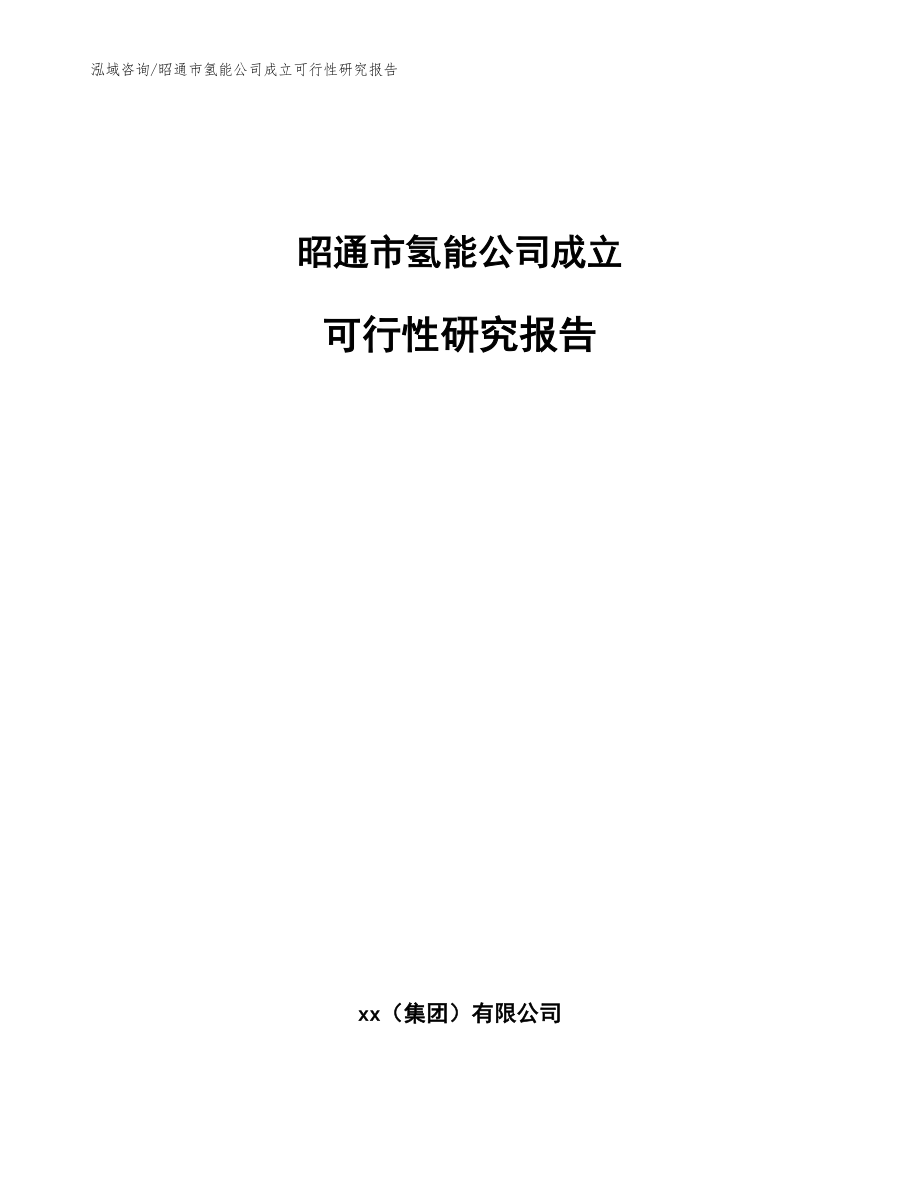 昭通市氢能公司成立可行性研究报告【范文模板】_第1页