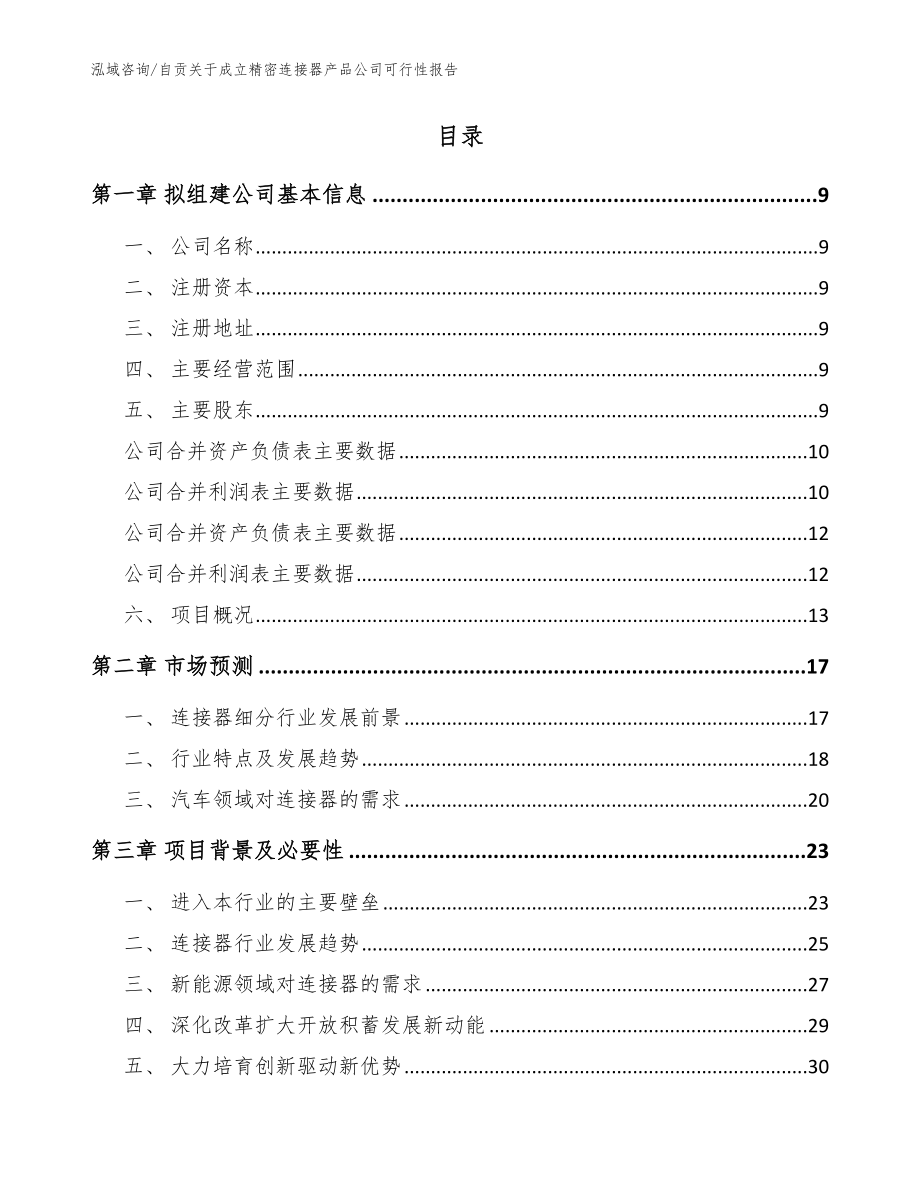 自贡关于成立精密连接器产品公司可行性报告_模板范本_第2页