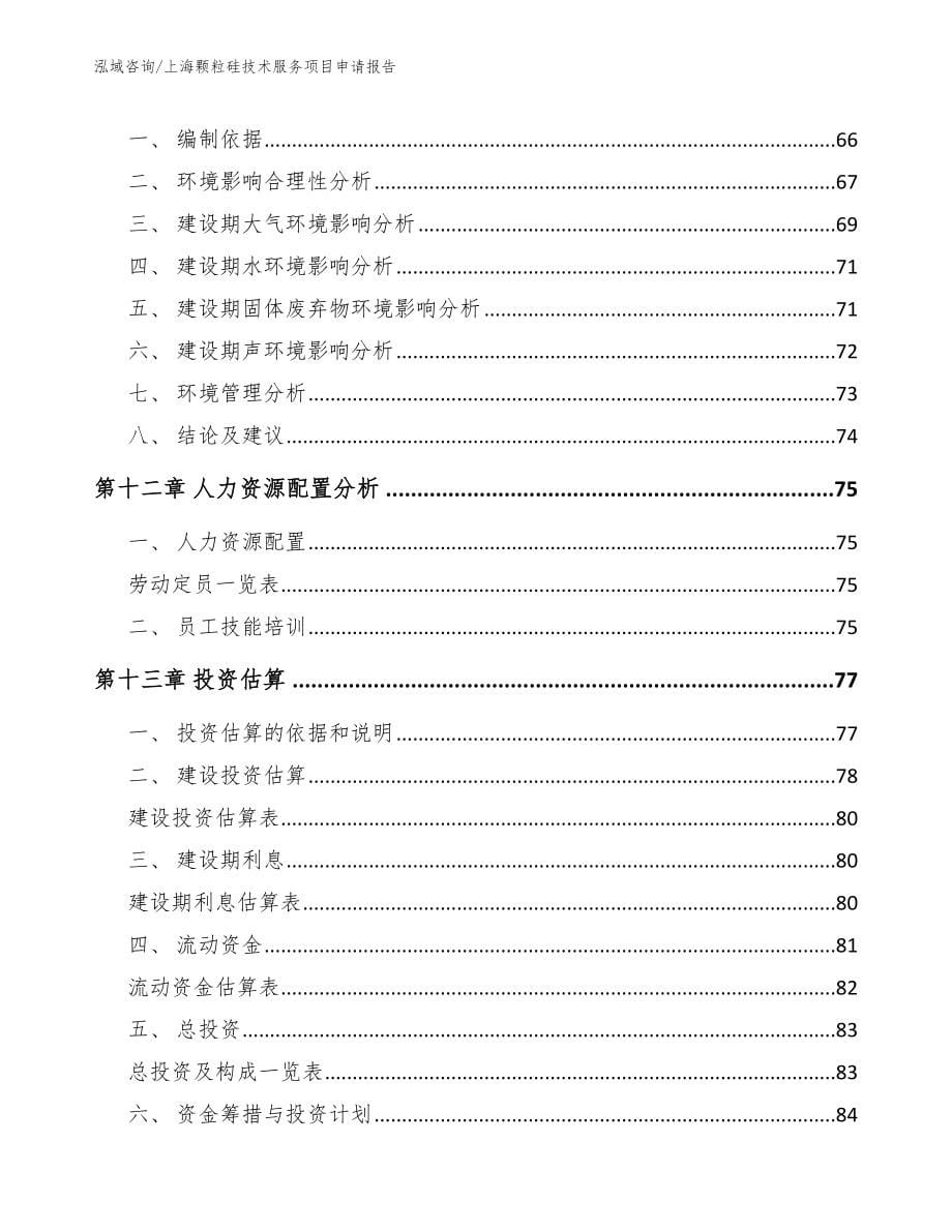 上海颗粒硅技术服务项目申请报告参考范文_第5页